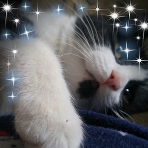 Meet your Posher, Linda